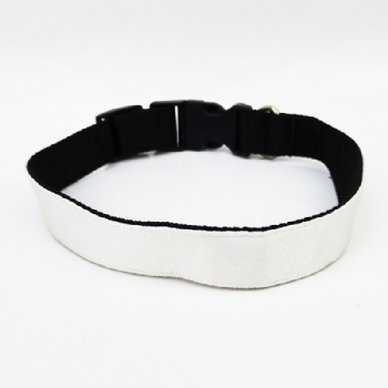 dog collar