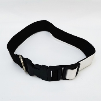 dog collar